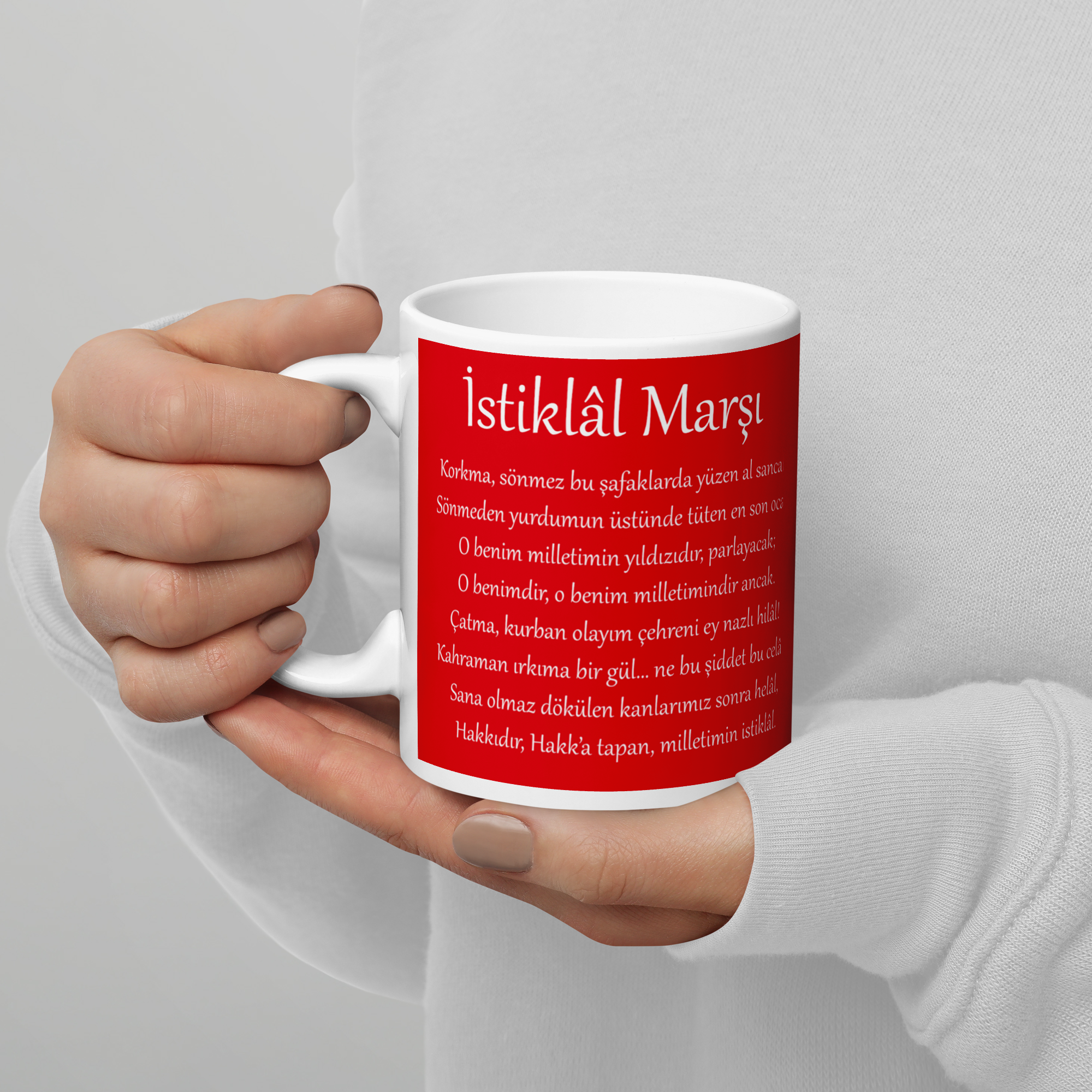 türkiye tasse istiklal rot